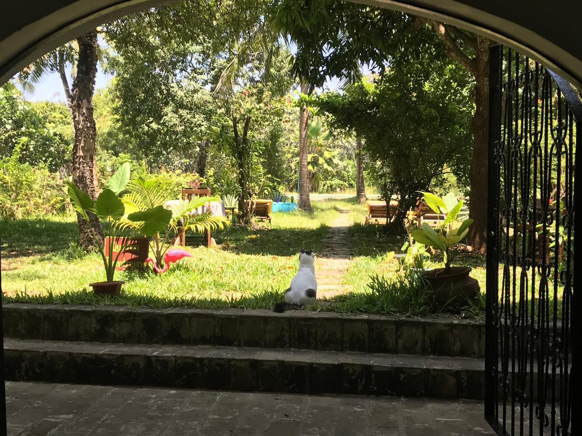 Footprints House Hotel Praia de Diani Exterior foto